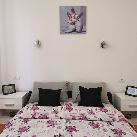 Apartmani La Grande Motte Vrdnik Esterno foto
