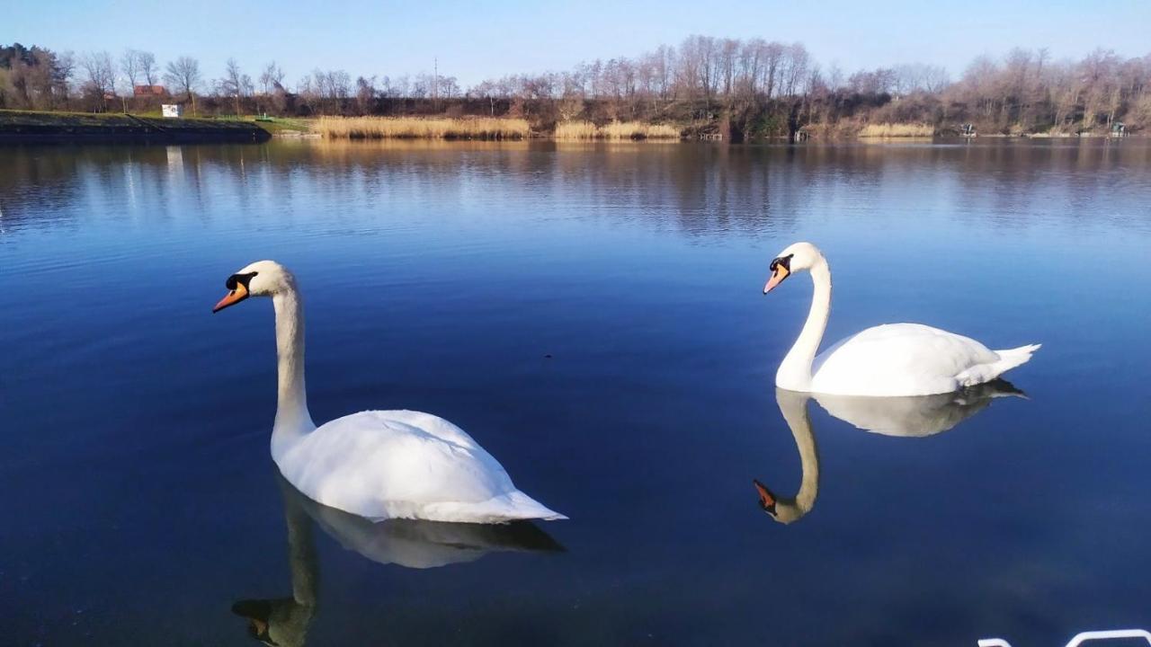 Apartmani La Grande Motte Vrdnik Esterno foto