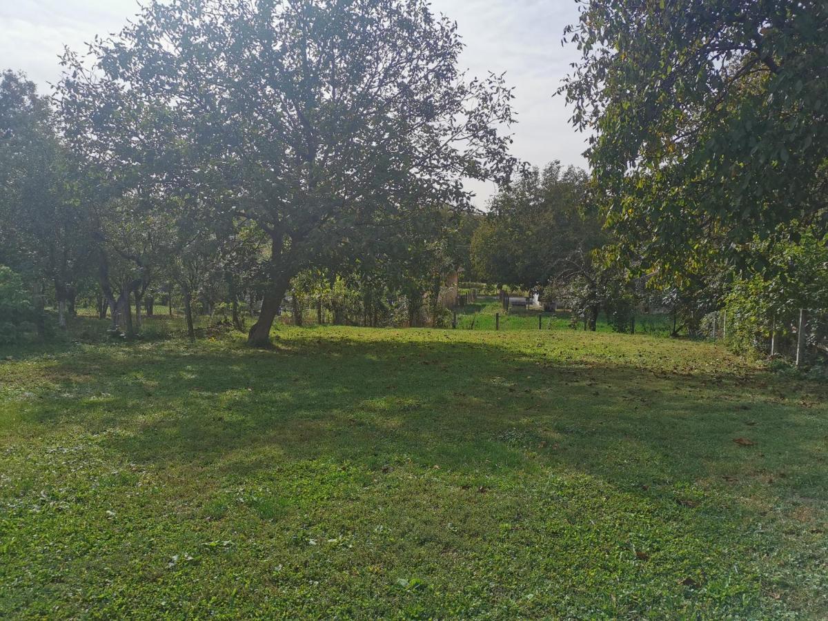Apartmani La Grande Motte Vrdnik Esterno foto