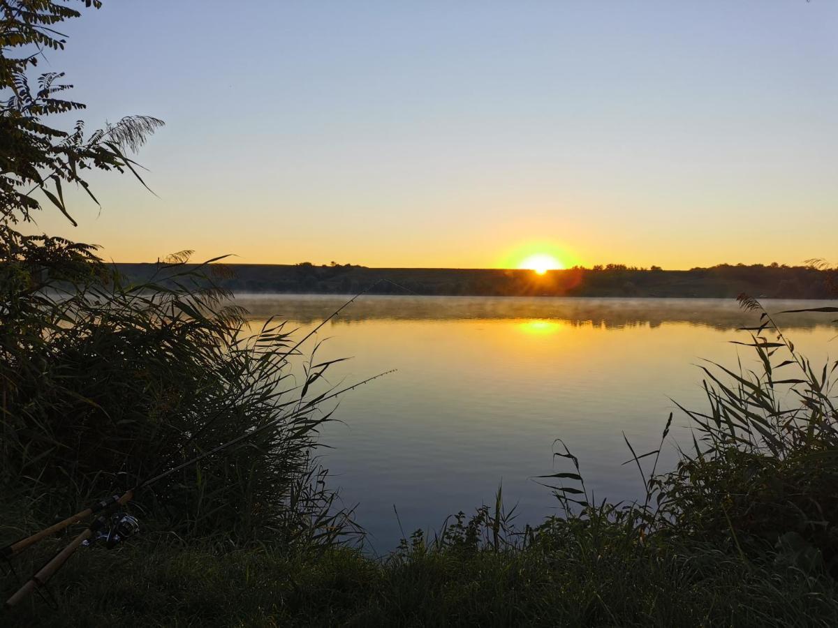 Apartmani La Grande Motte Vrdnik Esterno foto