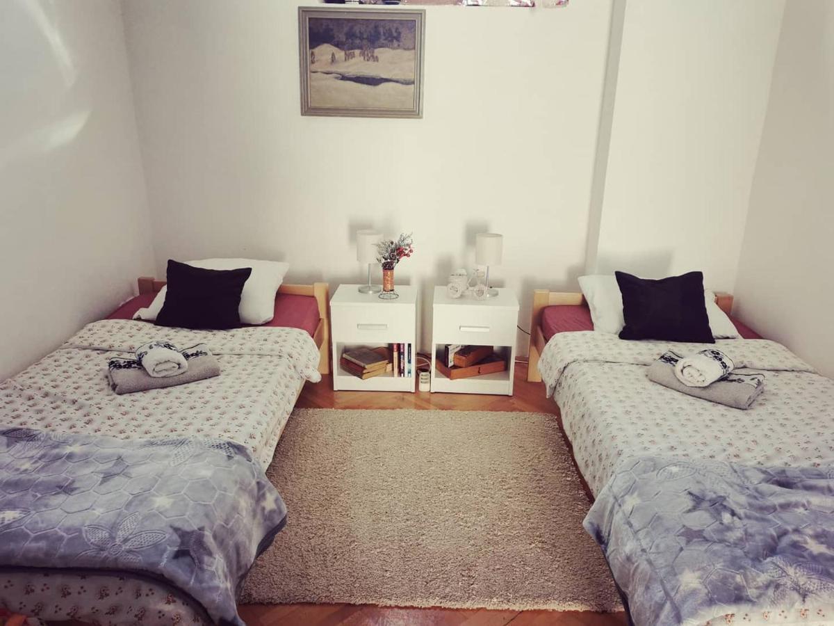 Apartmani La Grande Motte Vrdnik Esterno foto