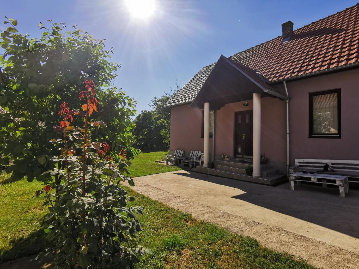 Apartmani La Grande Motte Vrdnik Esterno foto