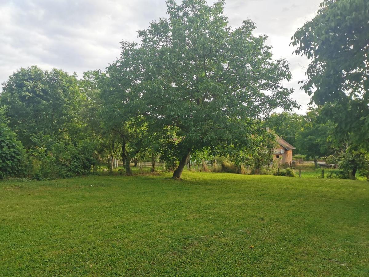 Apartmani La Grande Motte Vrdnik Esterno foto