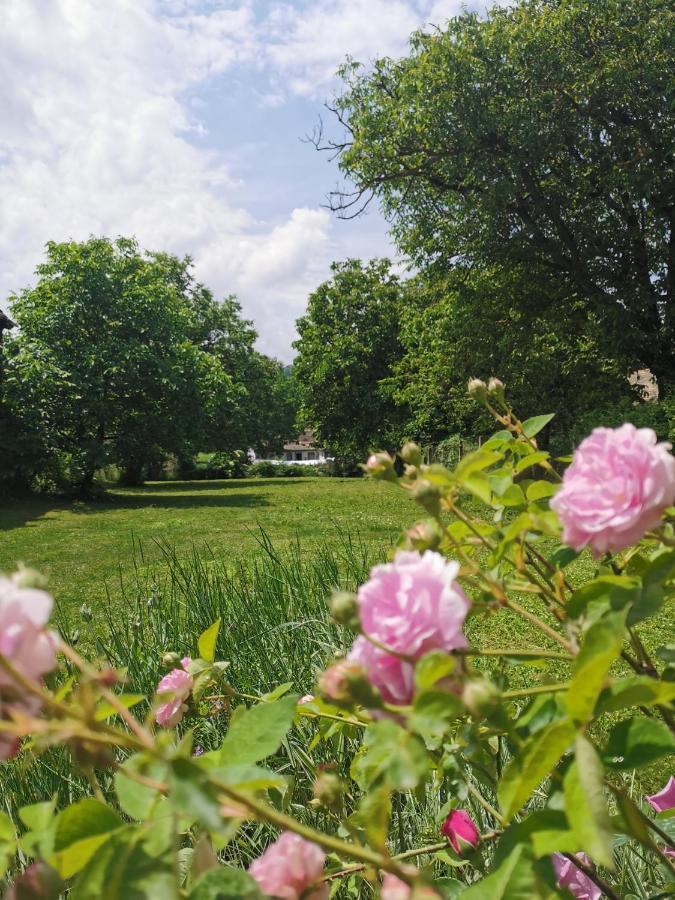 Apartmani La Grande Motte Vrdnik Esterno foto