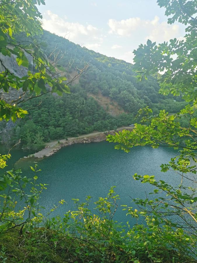 Apartmani La Grande Motte Vrdnik Esterno foto