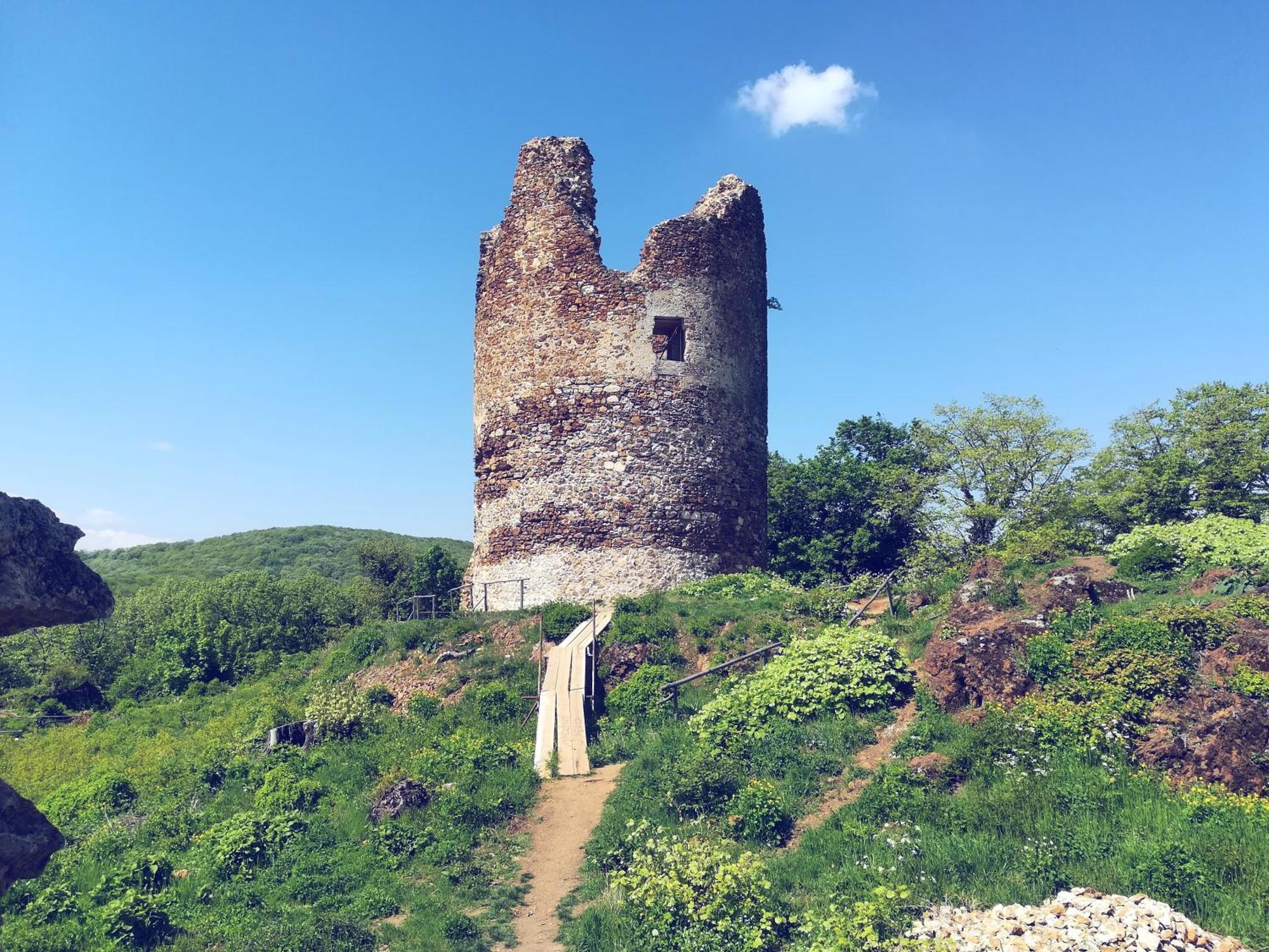 Apartmani La Grande Motte Vrdnik Esterno foto