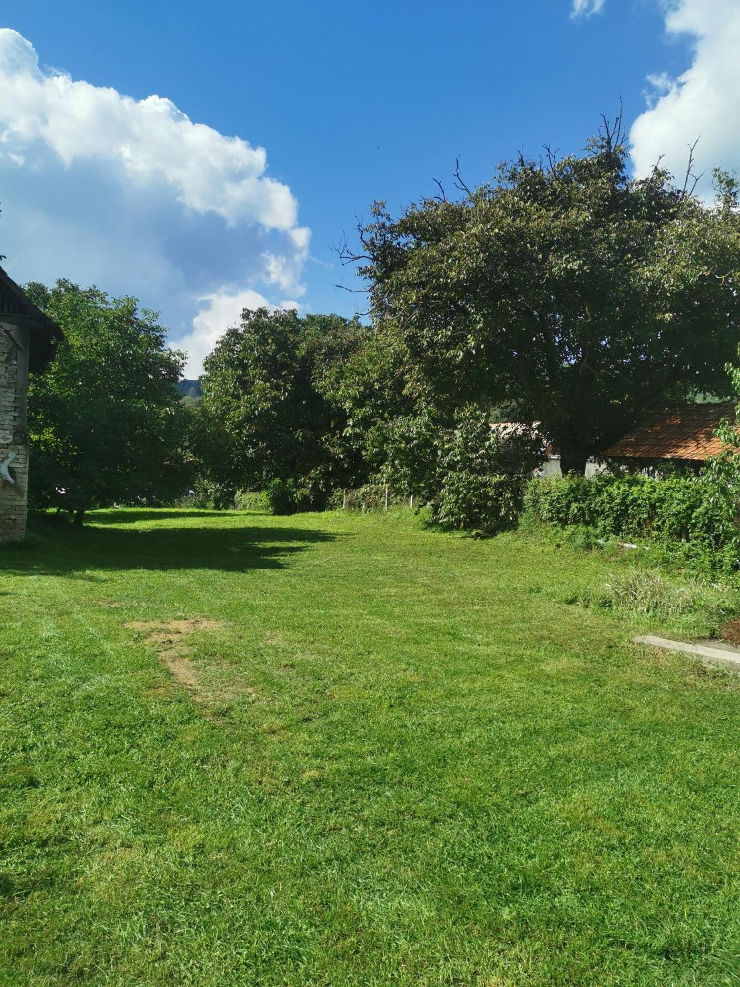 Apartmani La Grande Motte Vrdnik Esterno foto