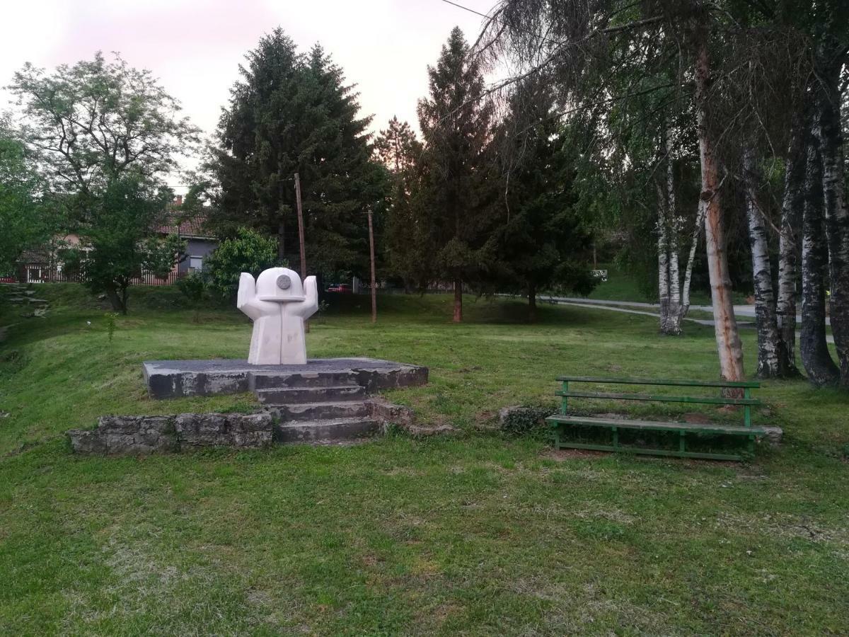 Apartmani La Grande Motte Vrdnik Esterno foto