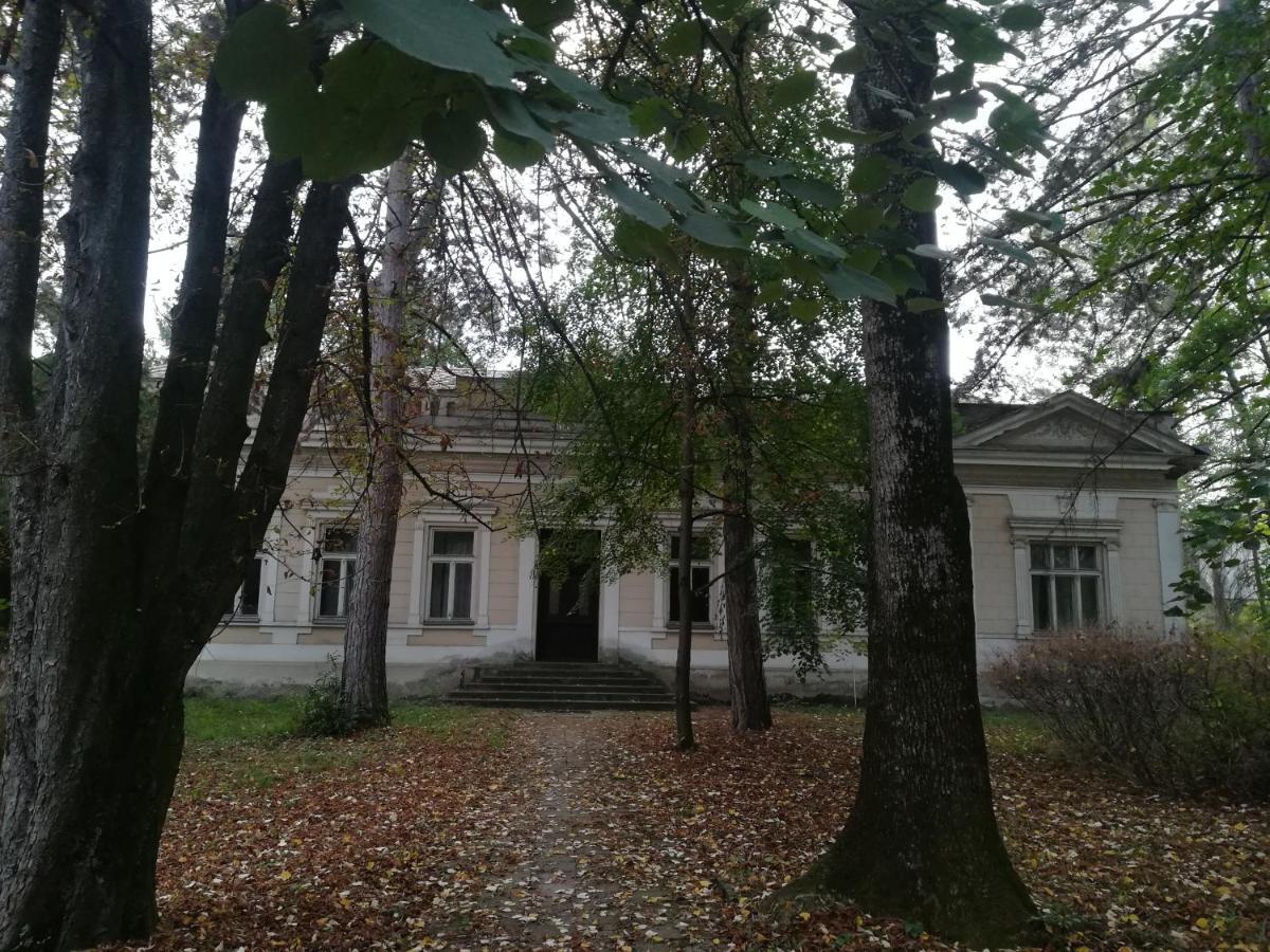 Apartmani La Grande Motte Vrdnik Esterno foto