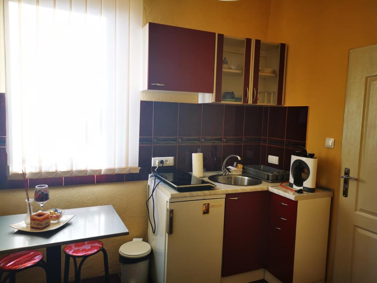 Apartmani La Grande Motte Vrdnik Esterno foto