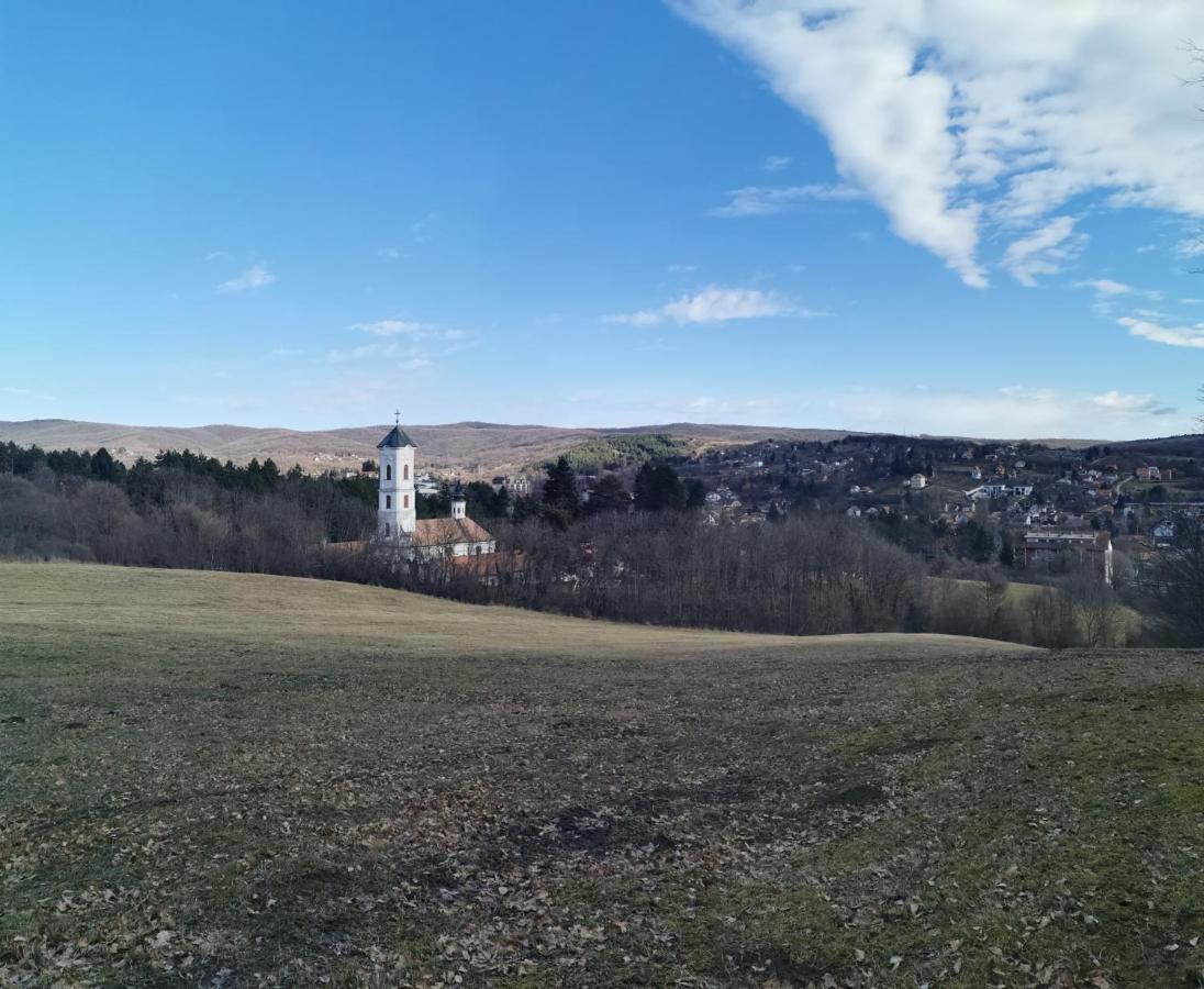 Apartmani La Grande Motte Vrdnik Esterno foto