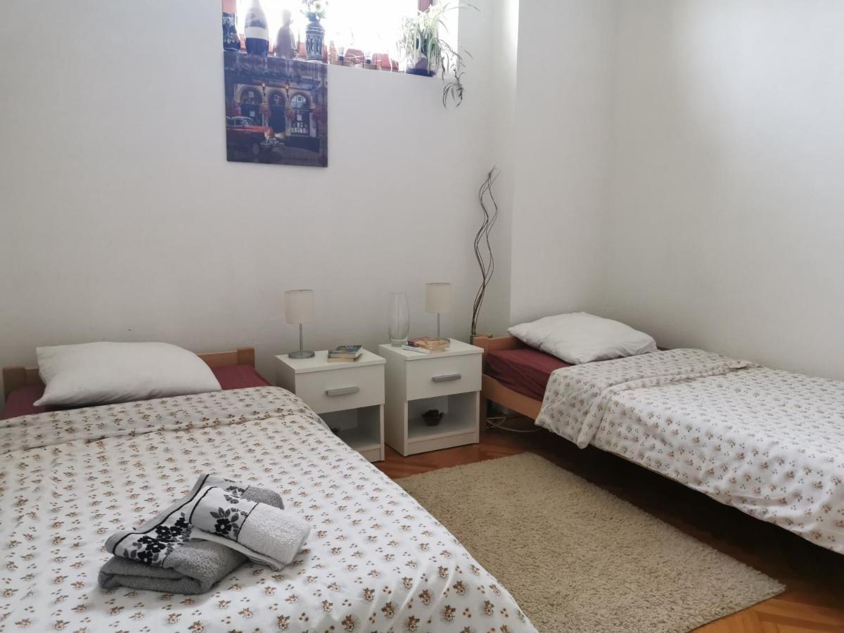 Apartmani La Grande Motte Vrdnik Esterno foto